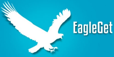 تحميل برنامج EagleGet للكمبيوتر